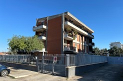 photo-2024-02-22-19-14-32