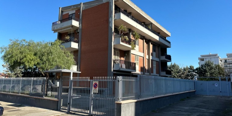 photo-2024-02-22-19-14-321