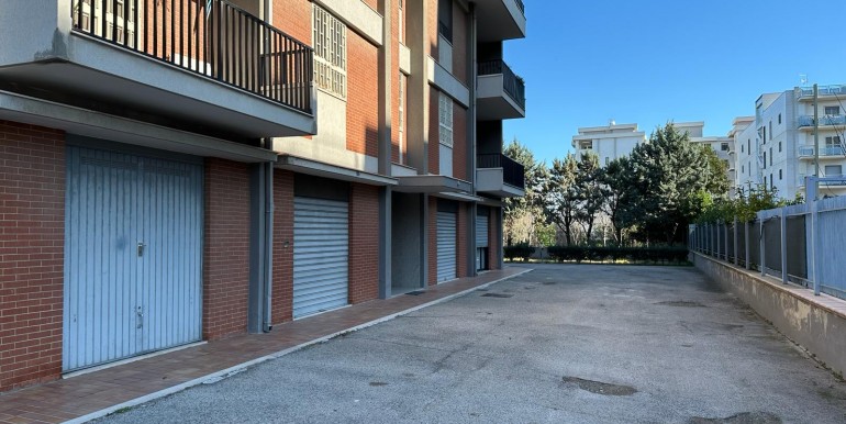 photo-2024-02-22-19-14-322