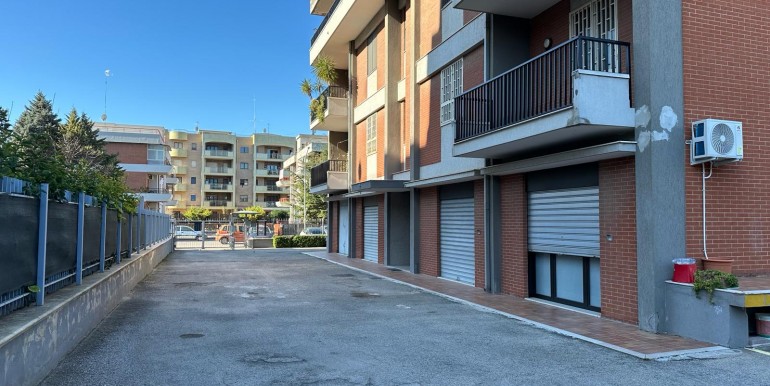 photo-2024-02-22-19-14-323