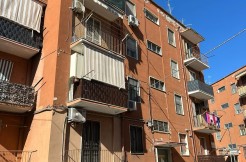 photo-2025-04-11-11-38-373