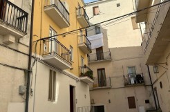 photo-2025-11-19-09-00-0421